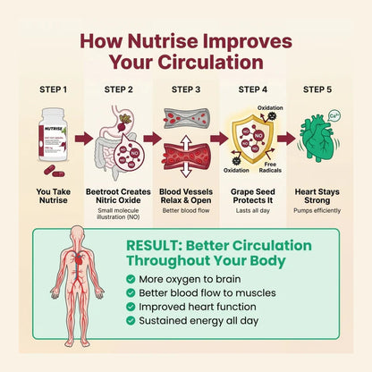 🔥Flash Sale 50% OFF🔥 Nutrise Beetroot Circulation